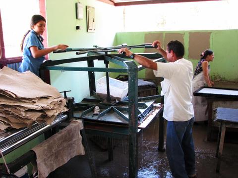 Cafe de Monteverde Coffee Tour Costa Rica