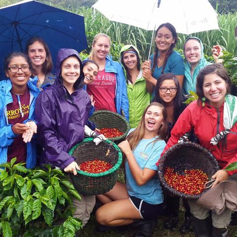 Cafe de Monteverde Coffee Tour