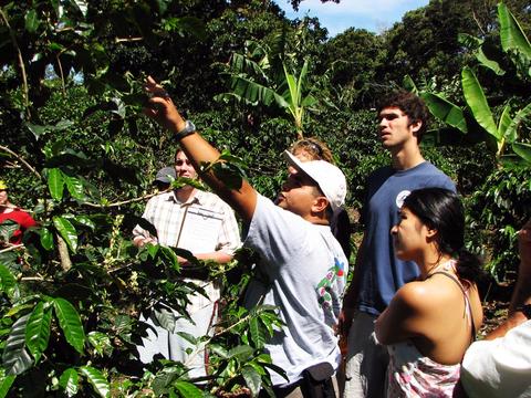 Cafe de Monteverde Coffee Tour Costa Rica