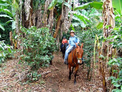 Monteverde Horseback Riding Costa Rica