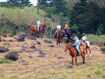 Monteverde Horseback Riding