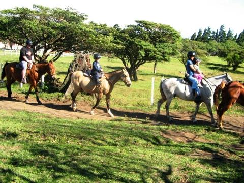 Monteverde Horseback Riding Costa Rica