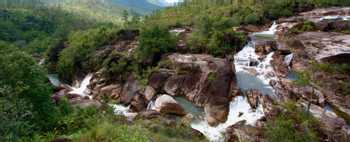 Mountain Pine Ridge Forest Reserve