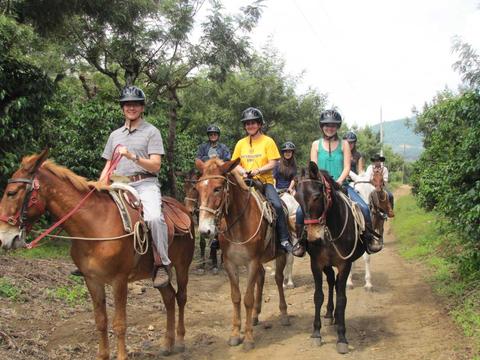 Excursión en Mula