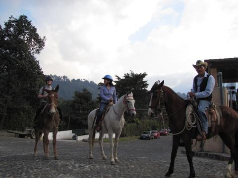 Tour on Mule Guatemala