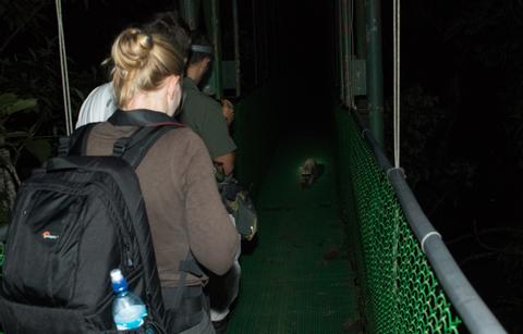 Caminata Nocturna por la Reserva Biológica Tirimbina