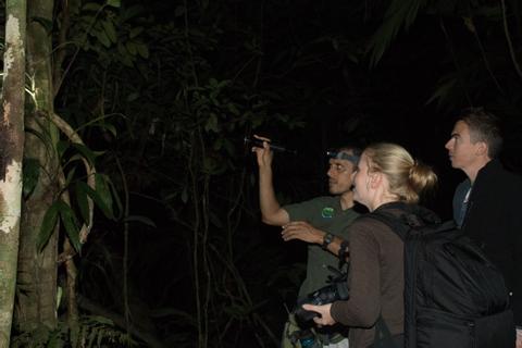Night Walk Tirimbina Rainforest Center Costa Rica