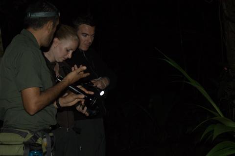 Caminata Nocturna por la Reserva Biológica Tirimbina Costa Rica