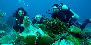 North Seymour Island Tour photo 4
