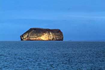 North Seymour Island Tour