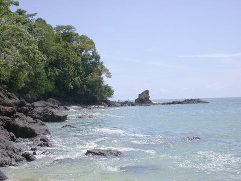 Tour de un día en el Parque Nacional Manuel Antonio