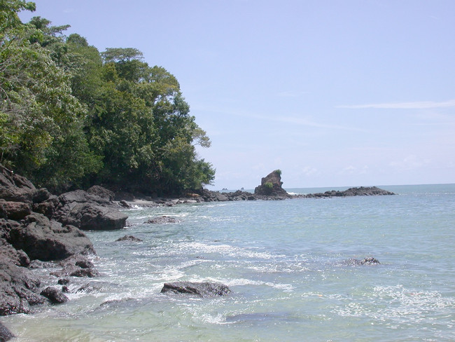 Manuel Antonio National Park One Day Tour photo
