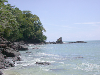Manuel Antonio National Park One Day Tour