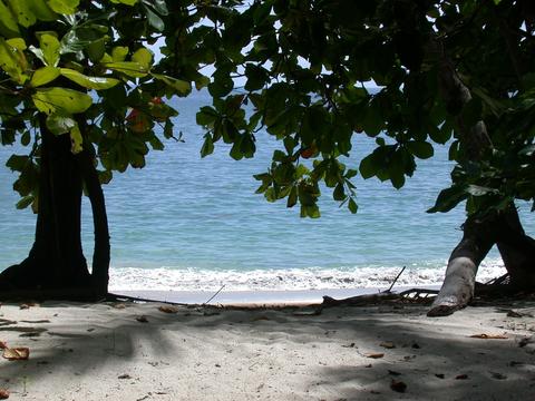 Manuel Antonio National Park One Day Tour Costa Rica