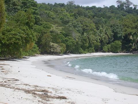 Manuel Antonio National Park One Day Tour