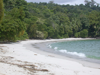 Manuel Antonio National Park One Day Tour photo 4