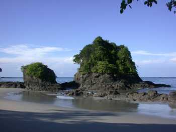 Manuel Antonio National Park One Day Tour