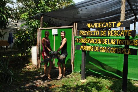 Osa In-Water Volunteering Costa Rica