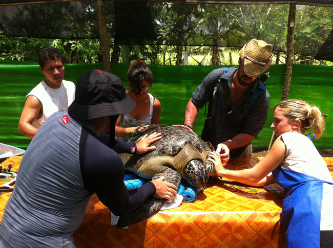 Osa Voluntariado en el agua Photo
