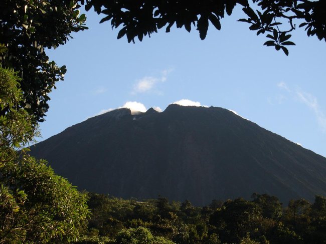 Tour Volcán Pacaya Photo