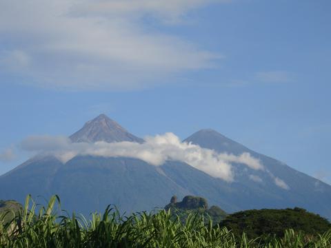 Pacific Coast Coffee Plantation Tour