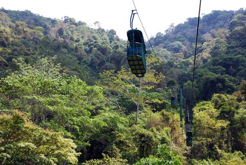 Pacific Rainforest Tranopy Costa Rica