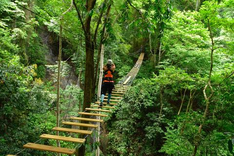 Pacific Rainforest Tranopy Tour