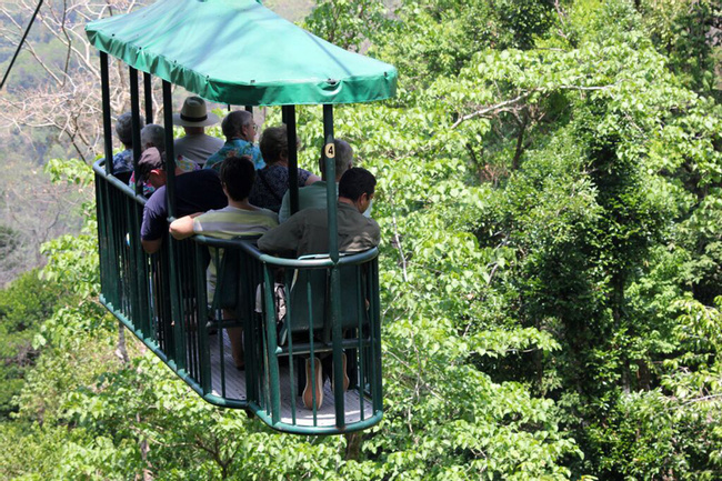 Aerial Tram Photo