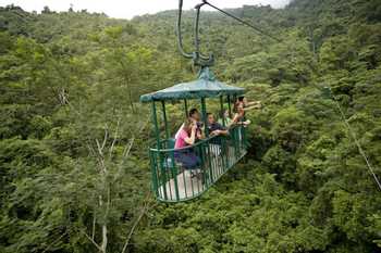 Nature Pass: Aerial Tram and Butterfy Garden