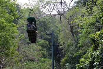 Pacific Rainforest Aerial Tram