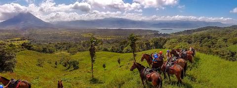 Los caballos de Paco