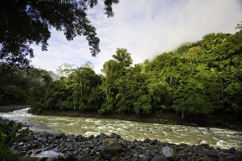 Pacuare River Rafting Class III-IV Costa Rica