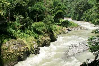 Pacuare River Rafting Class III-IV 