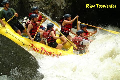 Pacuare River Rafting Class III-IV Costa Rica