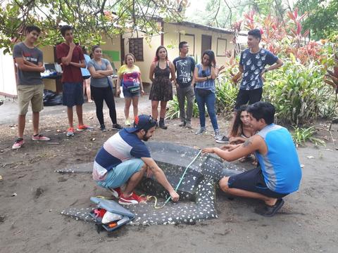 Voluntariado de tortugas marinas en Pacuare