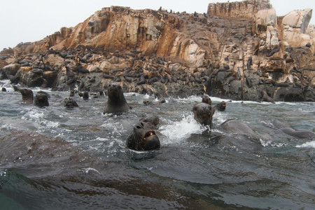 Palomino Islands Tour photo 3