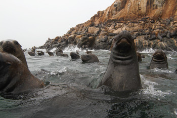 Palomino Islands Tour photo 2