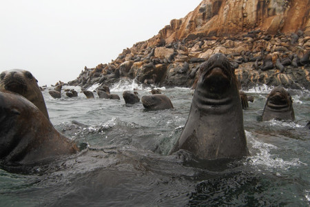 Palomino Islands Tour photo 2