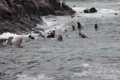 Palomino Islands Tour Peru
