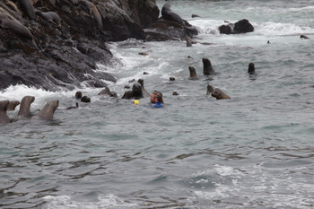 Palomino Islands Tour photo 4