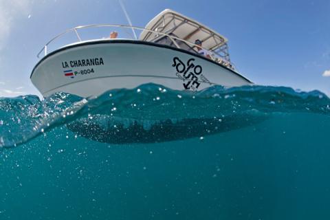 Papagayo Sport Fishing Tour Costa Rica