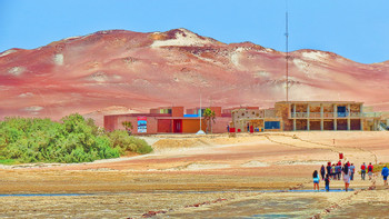 Paracas National Reserve Tour photo 4