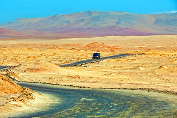 Paracas National Reserve Tour photo 5