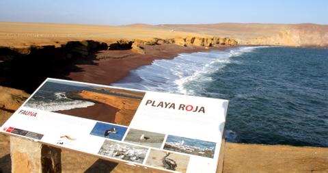 Paracas National Reserve Tour