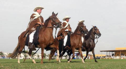 Peruvian Paso Horse Exhibition and Marinera Dance Peru