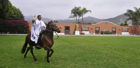 Peruvian Paso Horse Exhibition at Hacienda Los Ficus 