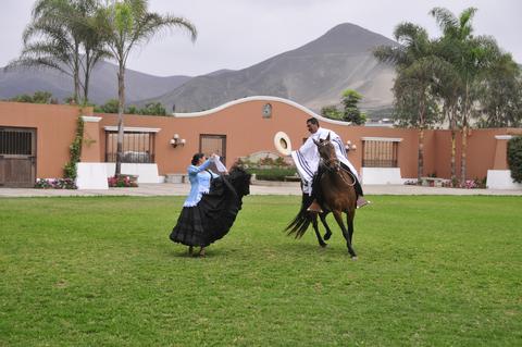Peruvian Paso Horse Exhibition
