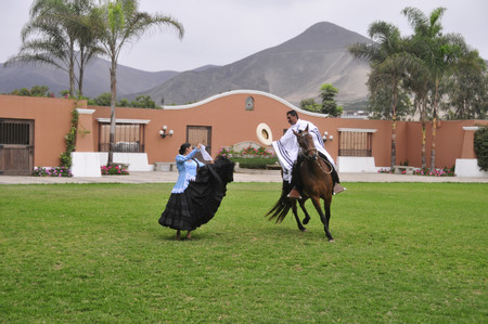 Exhibición Caballo Peruano de Paso photo 3