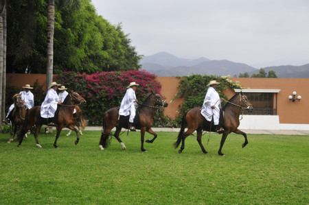 Exhibición Caballo Peruano de Paso photo 2