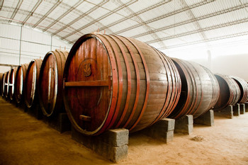 Pisco Route in Ica photo 4